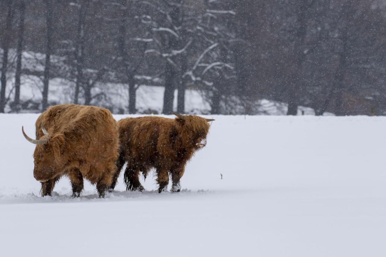Golden Eagle Lodge Kingussie Εξωτερικό φωτογραφία