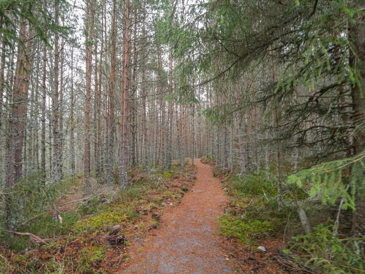 Golden Eagle Lodge Kingussie Εξωτερικό φωτογραφία